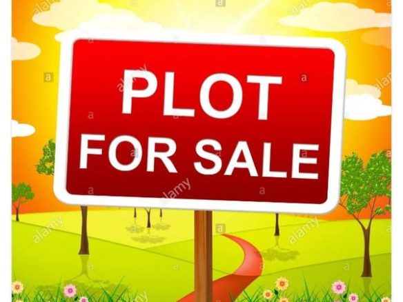 Plot For Sale