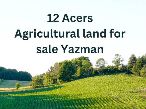 12 Acers Agricultural land for sale Yazman