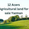 12 Acers Agricultural land for sale Yazman