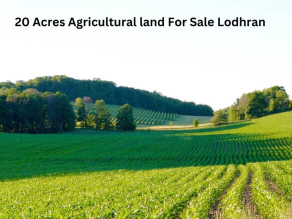 28 Acres Agricultural land For Sale Lodhran