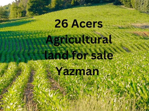 26 Acers Agricultural land for sale Yazman