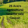26 Acers Agricultural land for sale Yazman