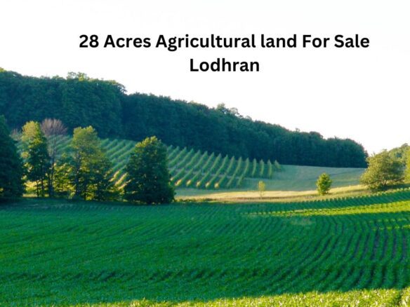 28 Acres Agricultural land For Sale Lodhran