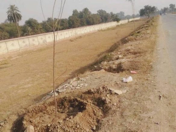 10 Marla Plot For Sale Maple Residencia Sargodha