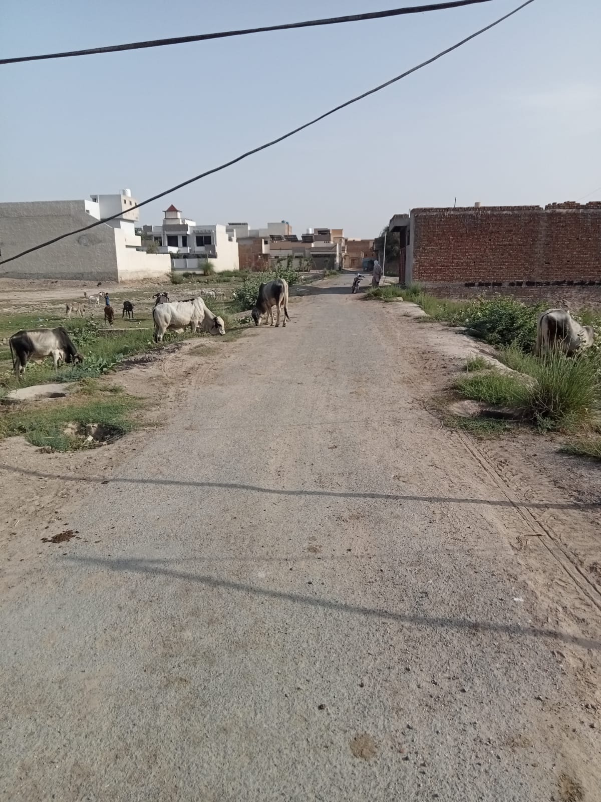 26 Marla Corner Plot For Sale Sabzazar Town Khanpur