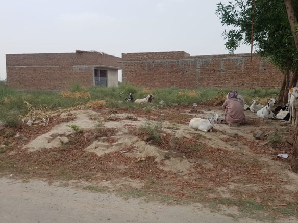 4 Marla Plot For Sale Pakistan Chowk Khanpur
