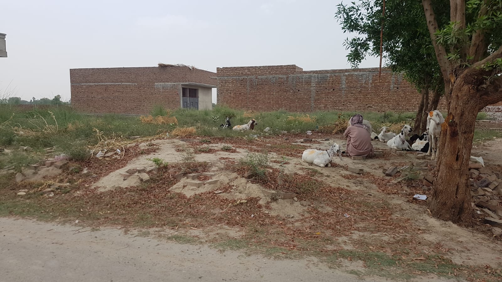 4 Marla Plot For Sale Pakistan Chowk Khanpur