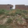 6 Marla Plot For Sale Pakistan Chowk Khanpur