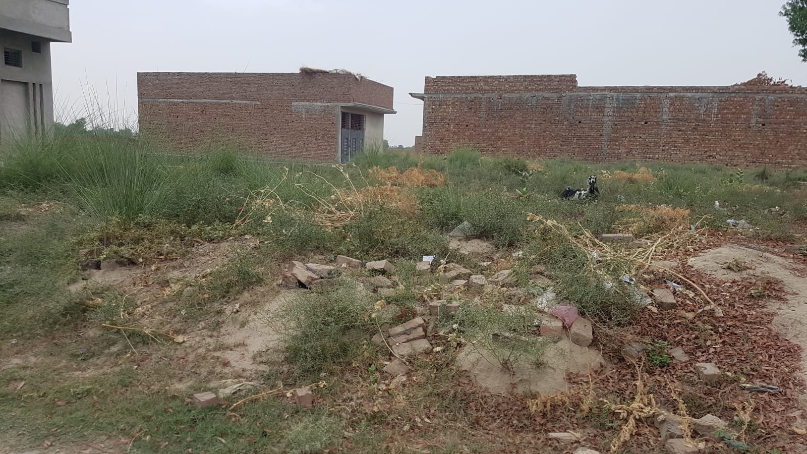 6 Marla Plot For Sale Pakistan Chowk Khanpur 6 Marla Plot For Sale Pakistan Chowk Khanpur