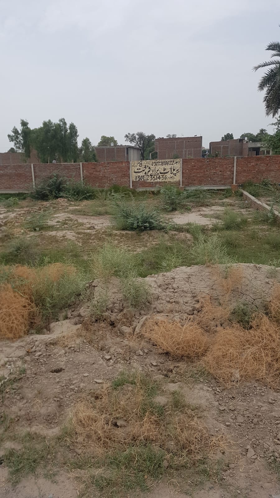 8 Marla Plot For Sale Tariq Gardan Khanpur