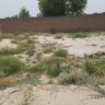 16 Marla Corner Plot For Sale Tariq Gardan Khanpur