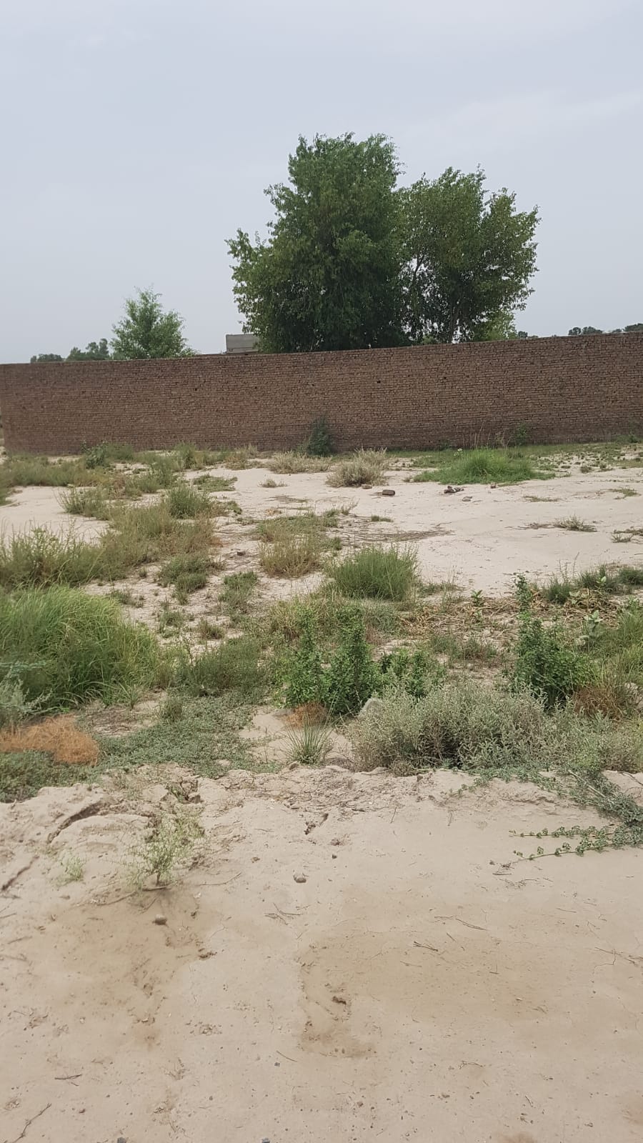 16 Marla Corner Plot For Sale Tariq Gardan Khanpur