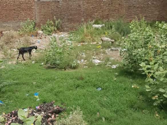 5 Marla Plot For Sale Khawaja Town Khanpur