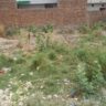 3 Marla Plot For Sale Khawaja Town Khanpur