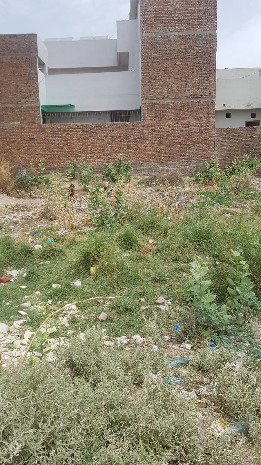 3 Marla Plot For Sale Khawaja Town Khanpur