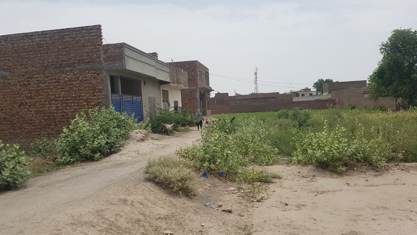 5 Marla Plot For Sale Khawaja Town Khanpur