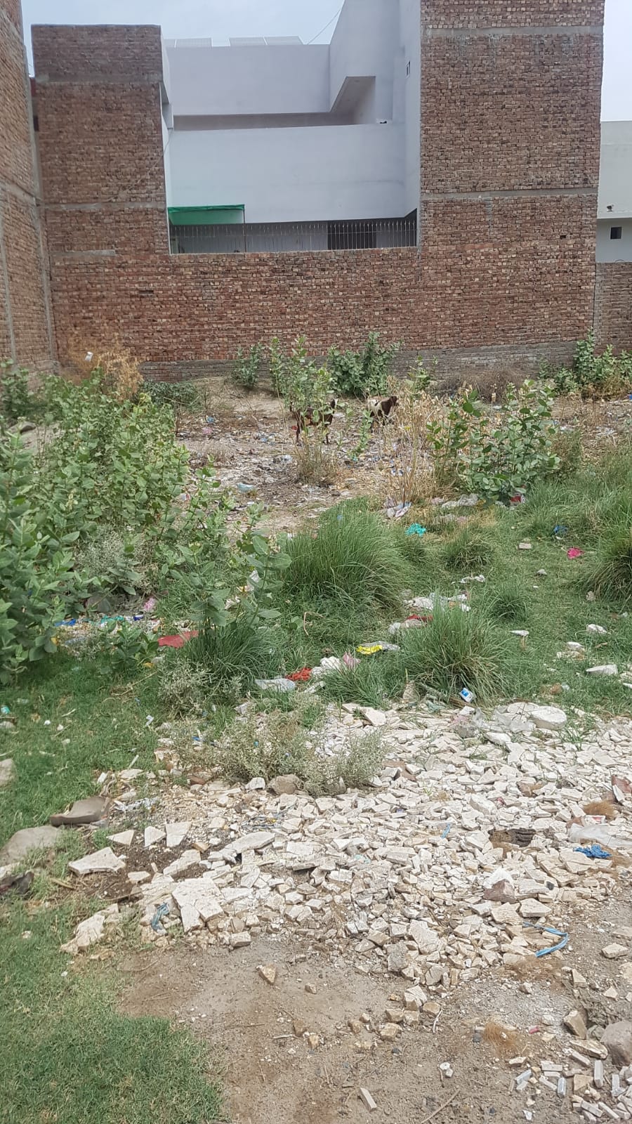 3 Marla Plot For Sale Khawaja Town Khanpur