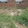 5 Marla Plot For Sale Khawaja Town Khanpur