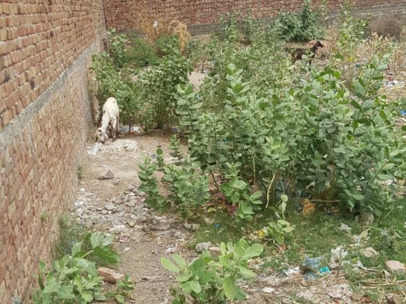 3 Marla Plot For Sale Khawaja Town Khanpur