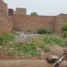 10 Marla Plot For Sale Ghalla Mandi Khanpur