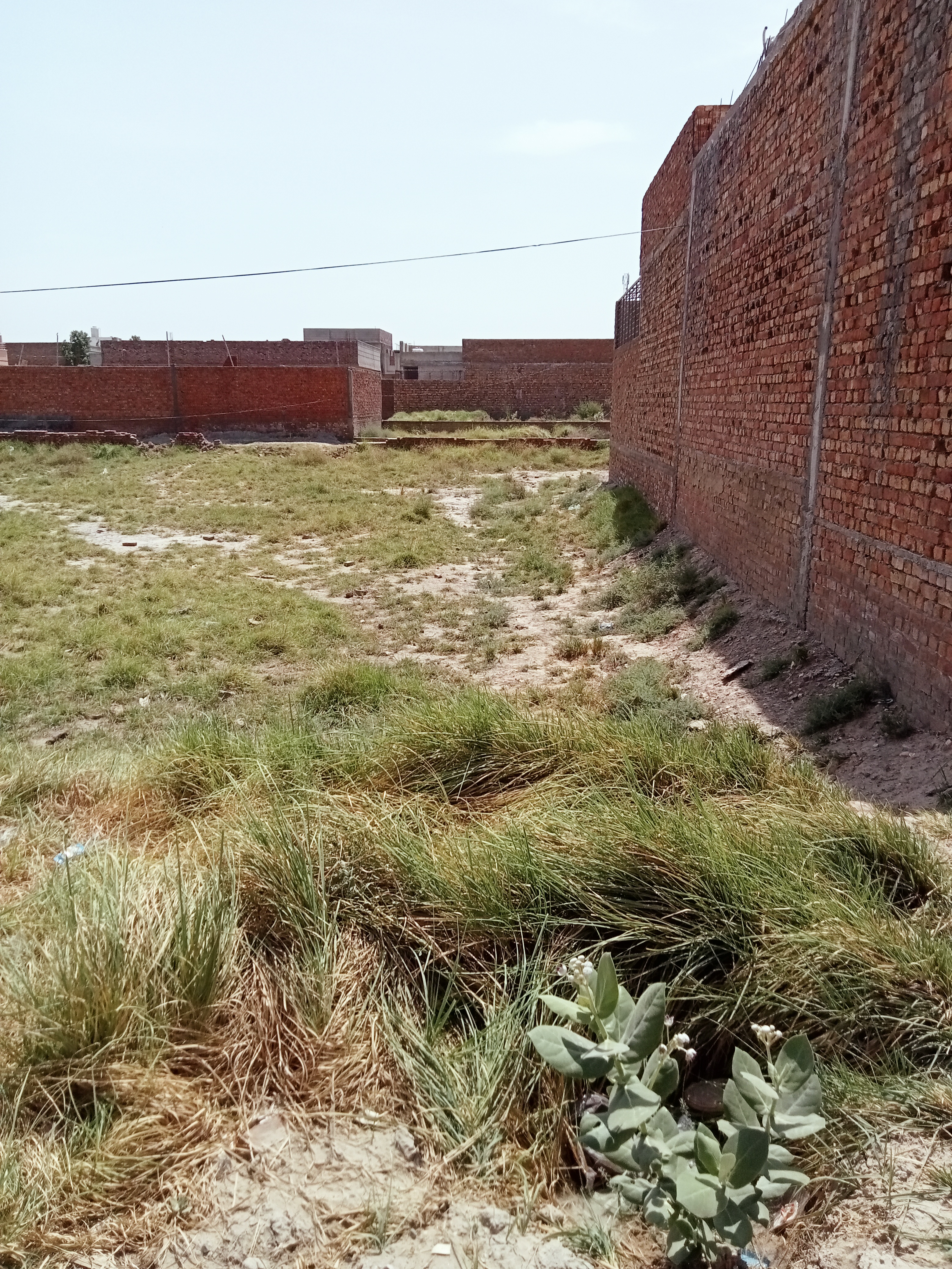 5 Marla plot for sale jadda Town khanpur