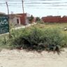5 Marla corner plot for sale jadda Town khanpur