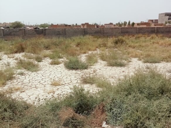 5.5 Marla plot for sale Taj Housing Society khanpur