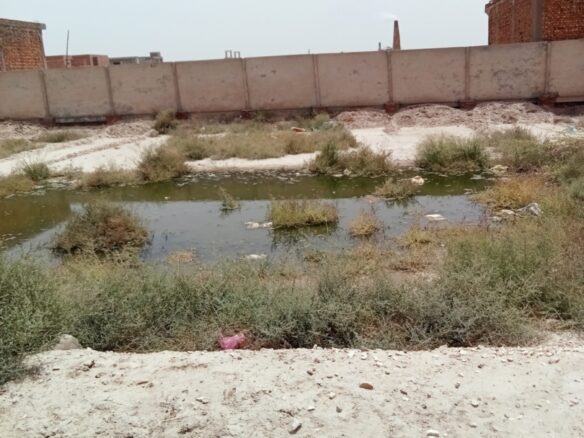 7 Marla Plot For Sale Taj Housing Society Khanpur