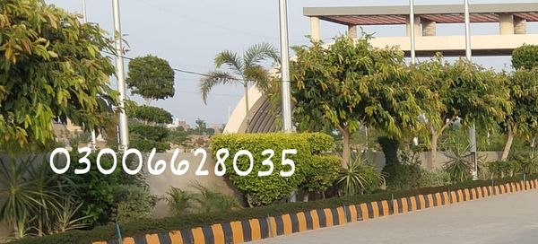 1 Marla Office For Sale Faisalabad