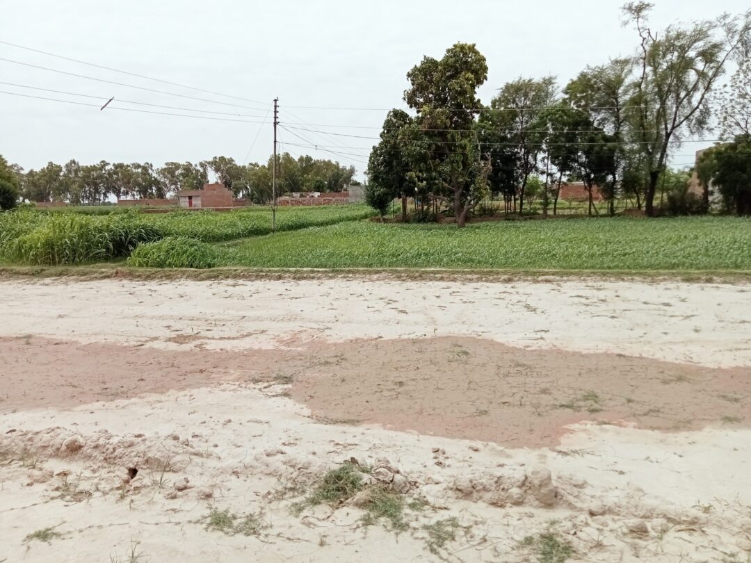 15 Marla Plot For Sale Basti Hafza Khanpur