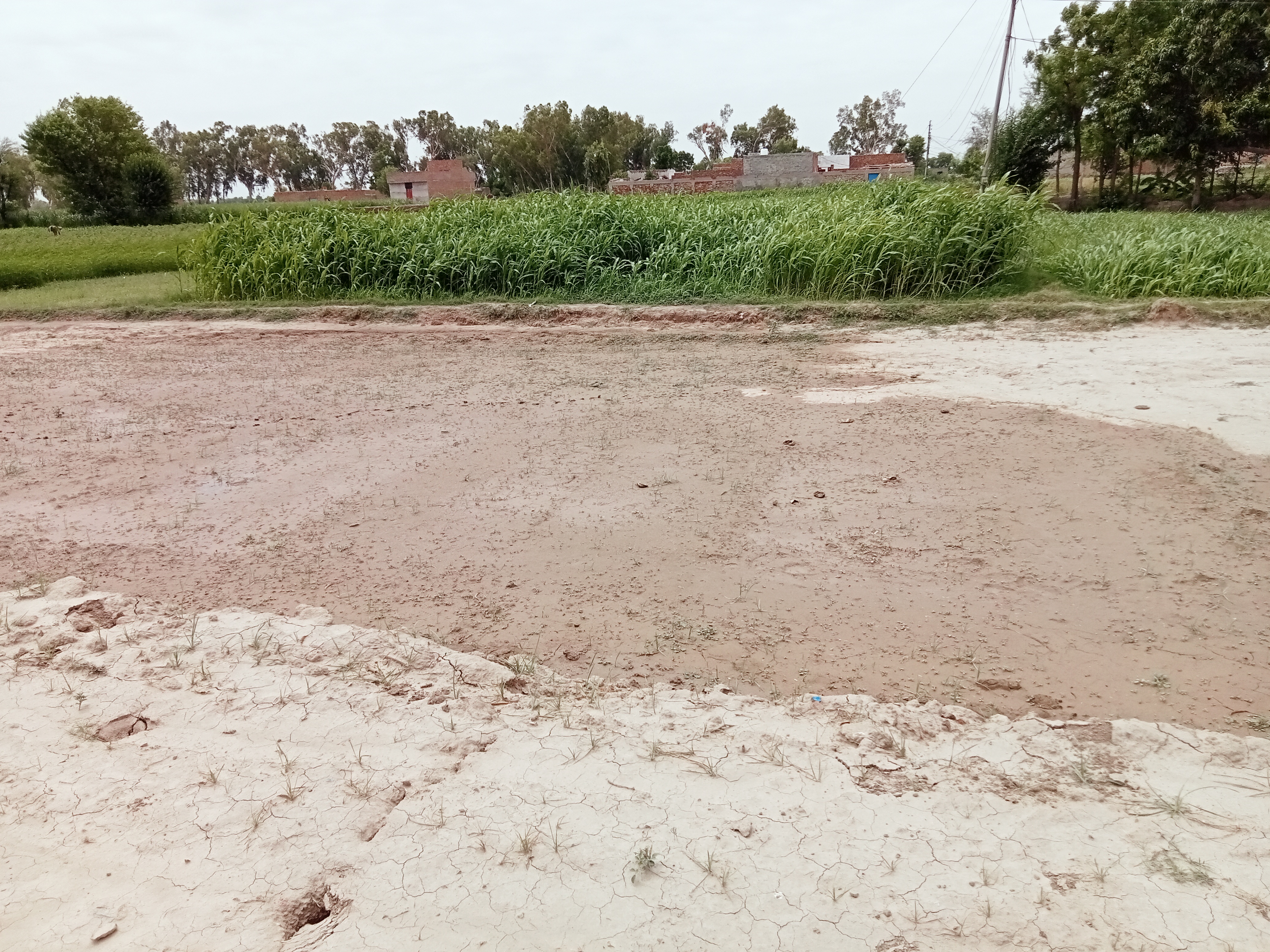 5 Marla Plot For Sale Basti Hafza Khanpur 5 Marla Plot For Sale Basti Hafza Khanpur