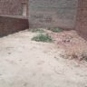 5 Marla Plot For Sale Ghareeb Abad Khanpur