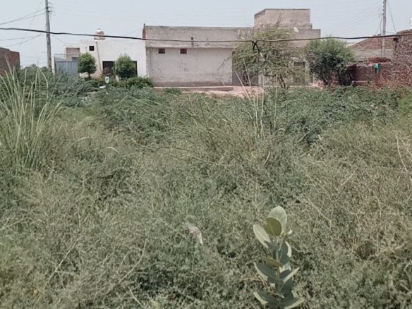 5 Marla Plot For Sale Sultan Nagar Khanpur