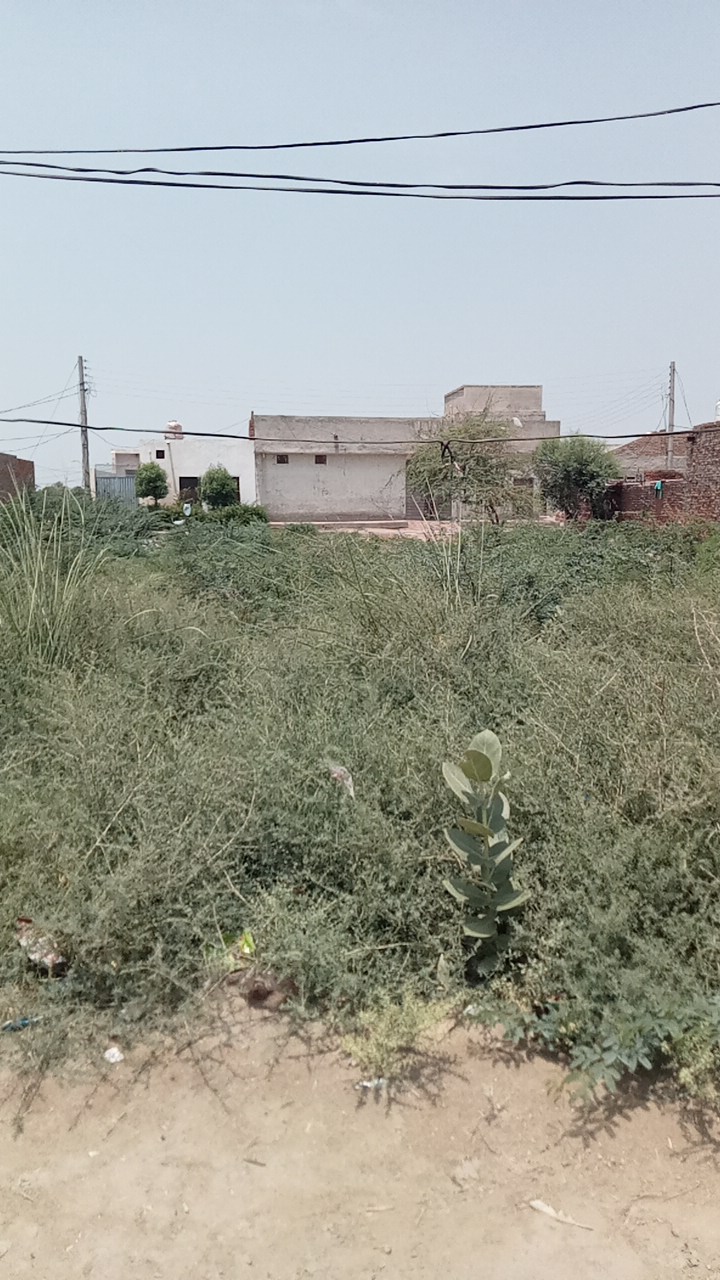 5 Marla Plot For Sale Sultan Nagar Khanpur