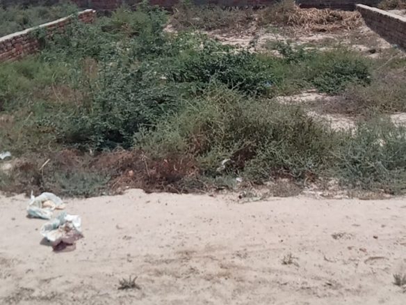 5 Marla Plot For Sale Sultan Nagar Khanpur