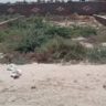 5 Marla Plot For Sale Sultan Nagar Khanpur
