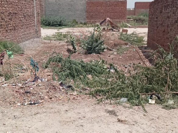 5 Marla Plot For Sale Sultan Nagar Khanpur