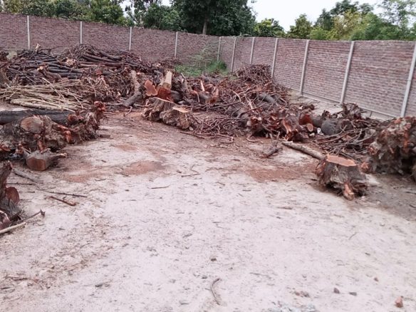 10 Marla Plot For Sale Hammid Town Khanpur