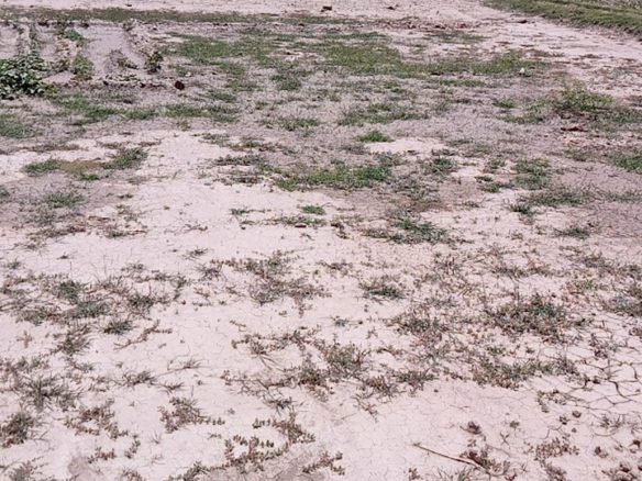 10 Marla Plot For Sale Basti Hafza Khanpur