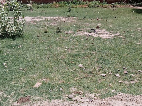 5 Marla Plot For Sale Bagh O Bahar Road khanpur