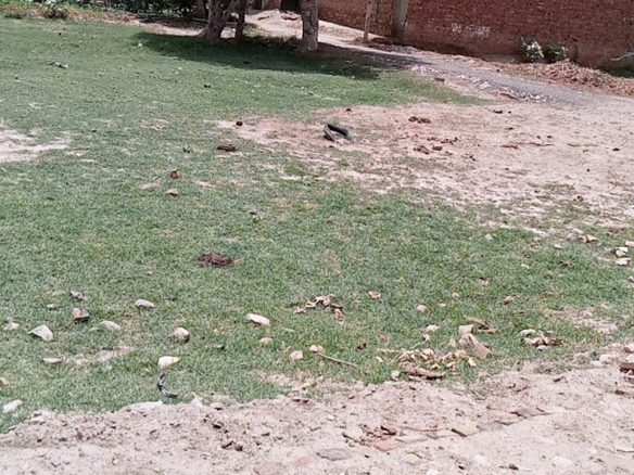 5 Marla Plot For Sale Bagh O Bahar Road khanpur