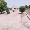 7 Marla Plot For Sale Bagh O Bahar Road khanpur