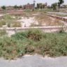 8 Marla plot For Sale Afzal Garden Khanpur