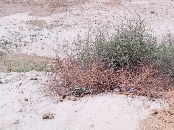 10 Marla Plot For Sale Al Kareem Town Khanpur