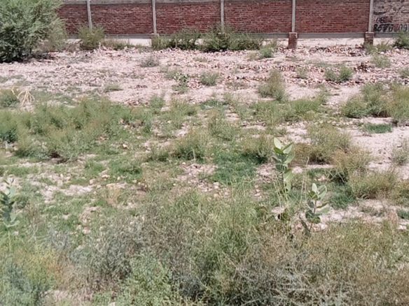 10 Marla Plot For Sale Al Kareem Town Khanpur