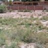 10 Marla Plot For Sale Al Kareem Town Khanpur