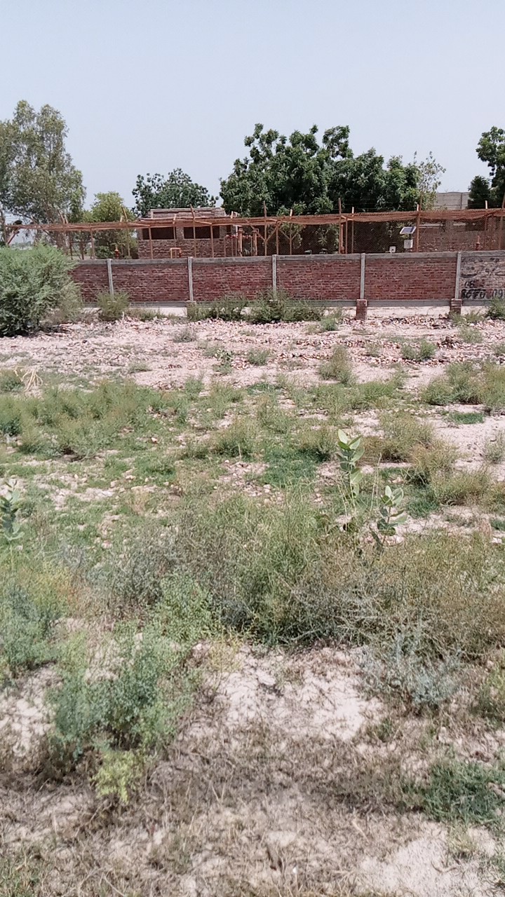 10 Marla Plot For Sale Al Kareem Town Khanpur