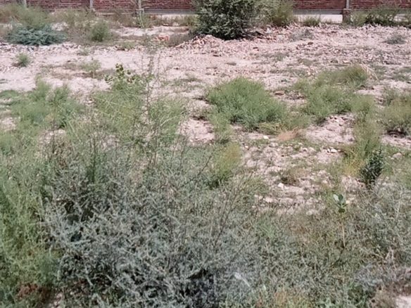 10 Marla Plot For Sale Al Kareem Town Khanpur