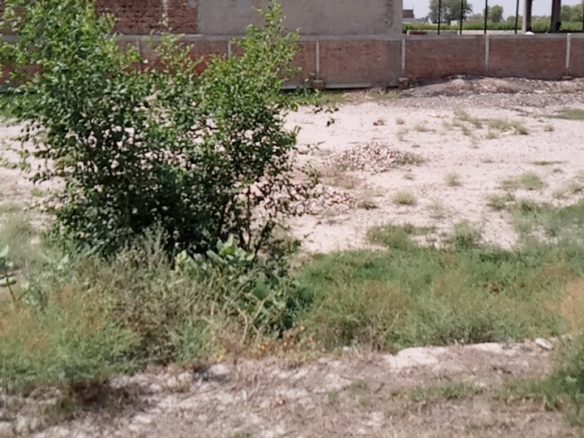5 Marla Plot For Sale Al Kareem Town Khanpur