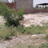 5 Marla Plot For Sale Al Kareem Town Khanpur